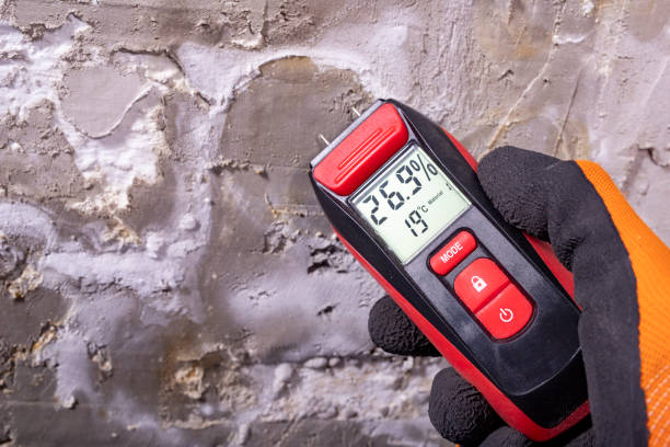 Best Professional Mold Removal  in Green, OR