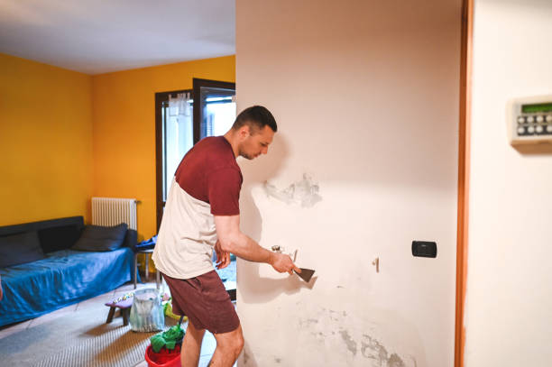 Best Mold Remediation  in Green, OR